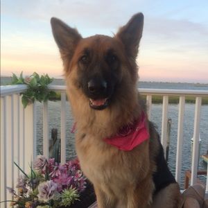 Meet your Posher, Katie